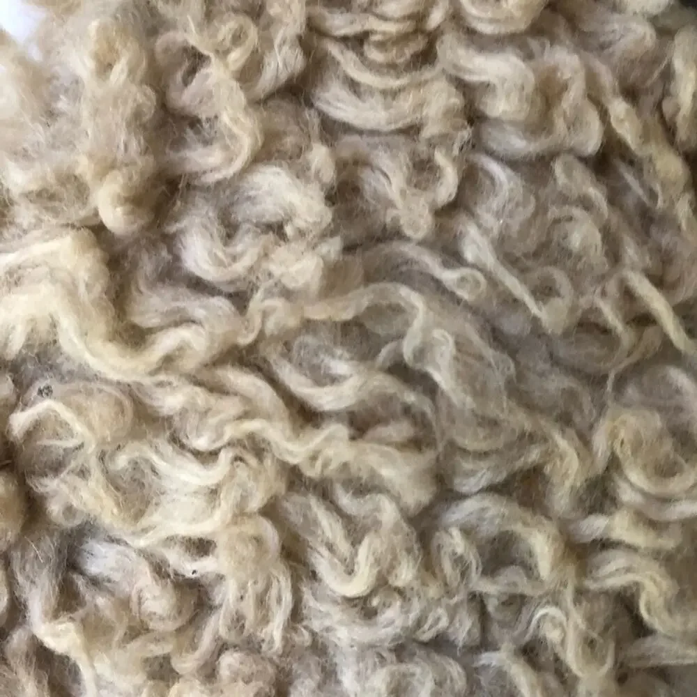 GAP sherpa vest